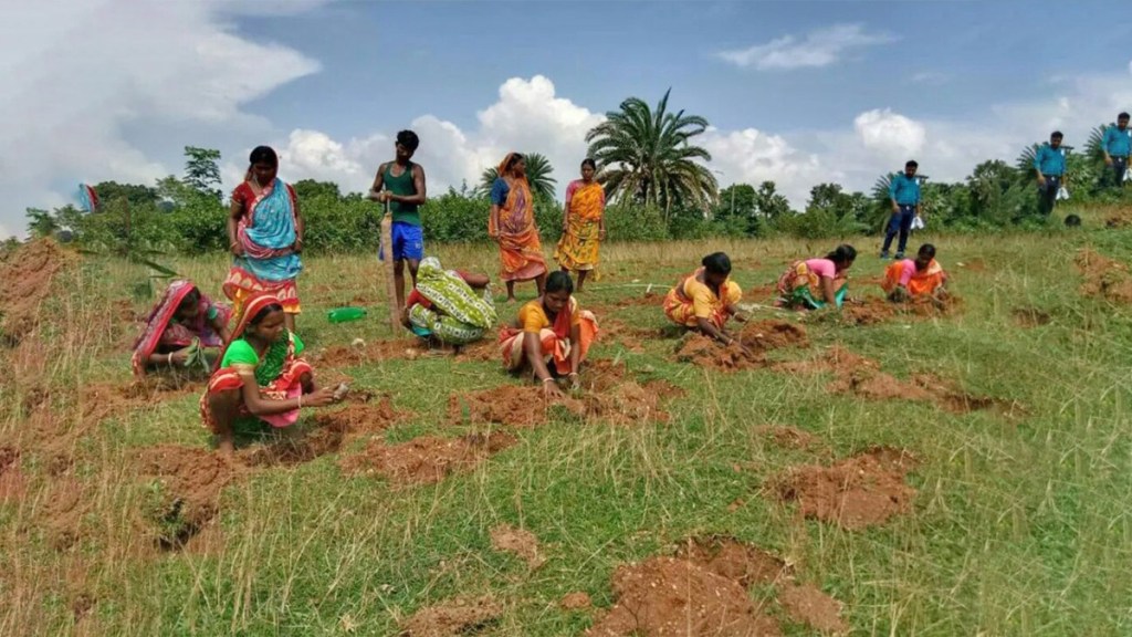 Un pueblo de India descubre el tesoro de la agricultura ecológica y&nbsp;autóctona