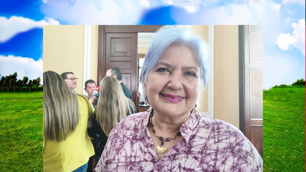 Dos convenciones internacionales sobre discriminación llegan al Congreso de la&nbsp;República