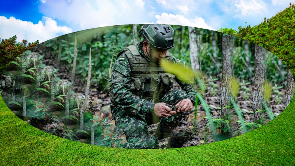 Servicio militar obligatorio o servicio social para la&nbsp;paz