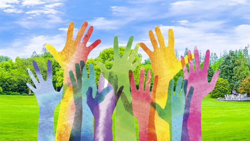 Estrategia, proyecto y fuerza&nbsp;social