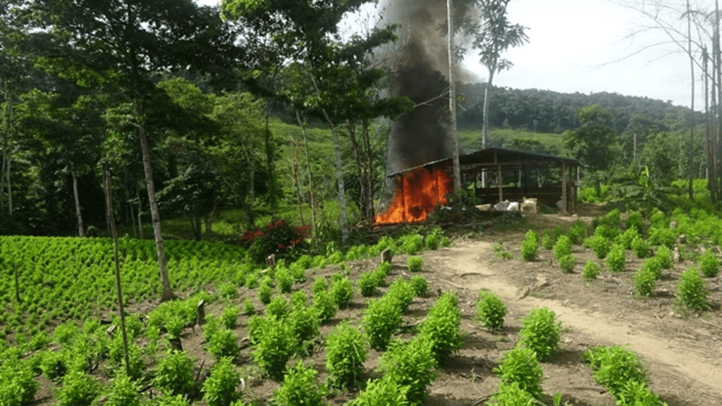 De la Coca a la Industria&nbsp;Agrícola