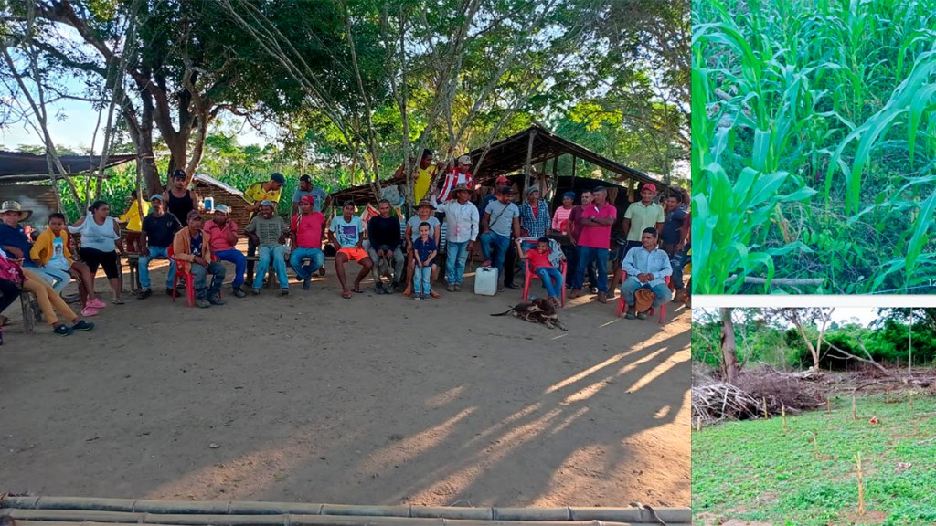 En Pijiño, Magdalena, campesinos solicitan al gobierno mediar para detener orden de&nbsp;desalojo.
