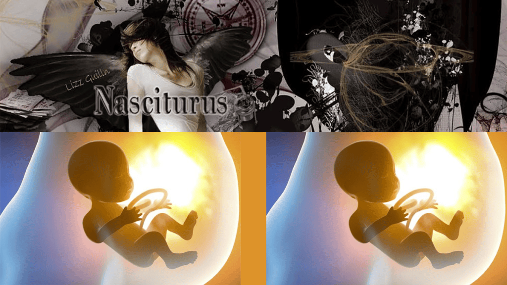 CRÍTICOS DEL ARTE&nbsp;NASCITURUS
