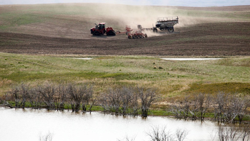 Fuerte sequía en Canadá pone en riesgo los suministros mundiales de trigo y&nbsp;canola