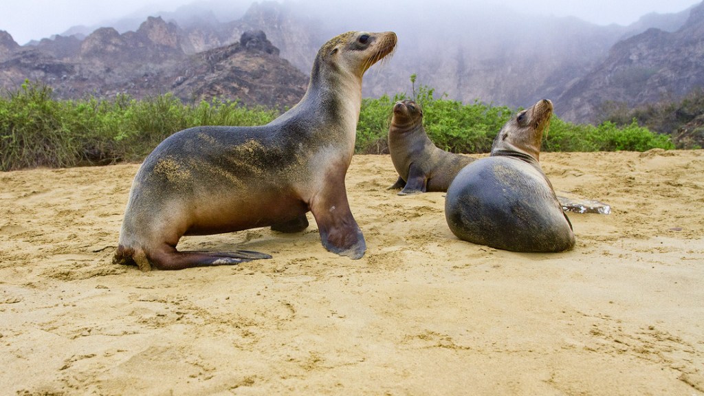 Ecuador realiza el canje de deuda externa por naturaleza más grande de la&nbsp;historia