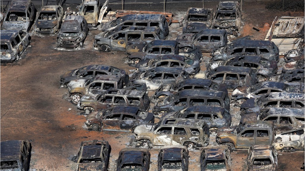 Se elevan a 80 las víctimas mortales por los incendios forestales en&nbsp;Hawái