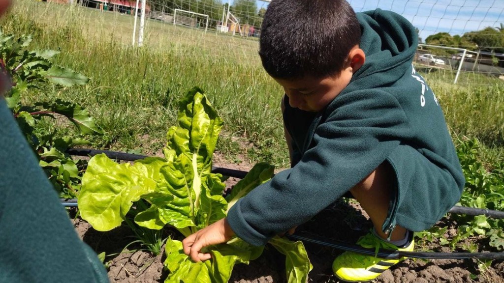 Intendente uruguayo dice que es «normal» que un niño trabaje y que eso es mucho mejor que «verlo con el&nbsp;celular»