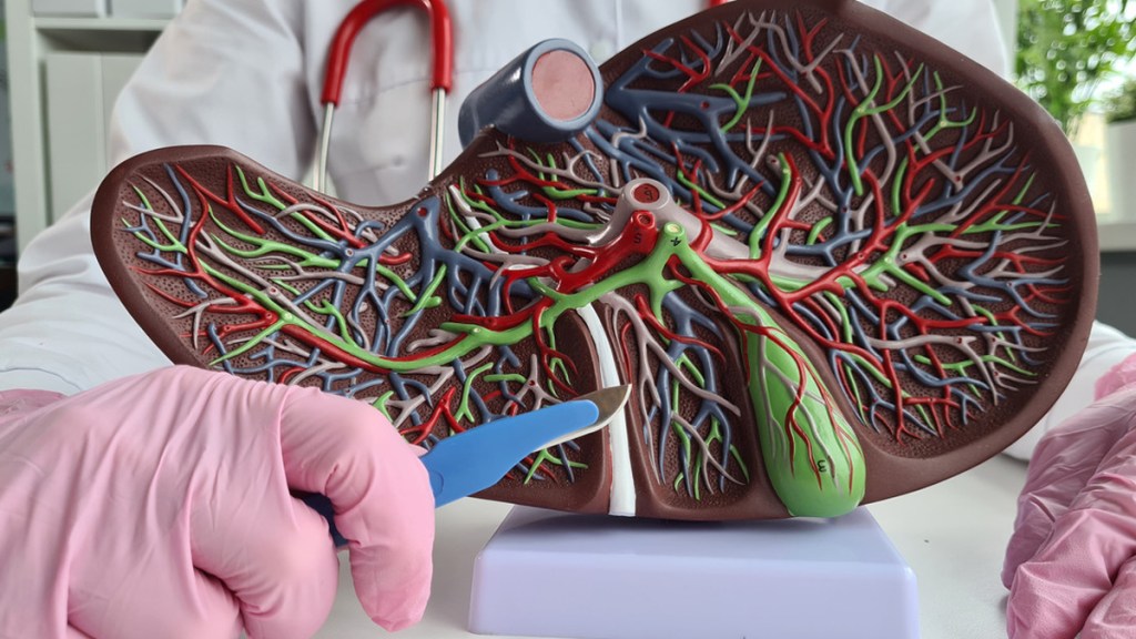 China estudia una «revolucionaria» terapia hepática con un hígado bioartificial basado en células&nbsp;madre