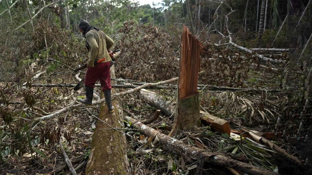 Desafíos ambientales en Colombia: la deforestación y la lucha por la&nbsp;tierra