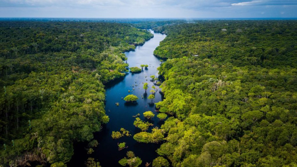 La Amazonia, la periferia de la&nbsp;periferia