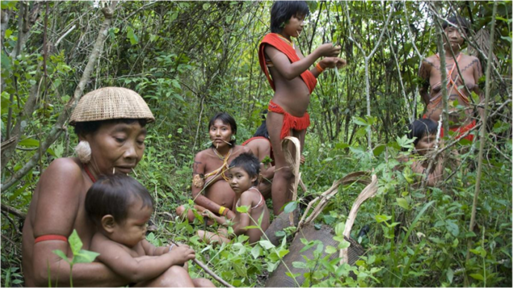 Arrasar la Amazonía no era inevitable: la deforestación cae un 50% desde&nbsp;enero