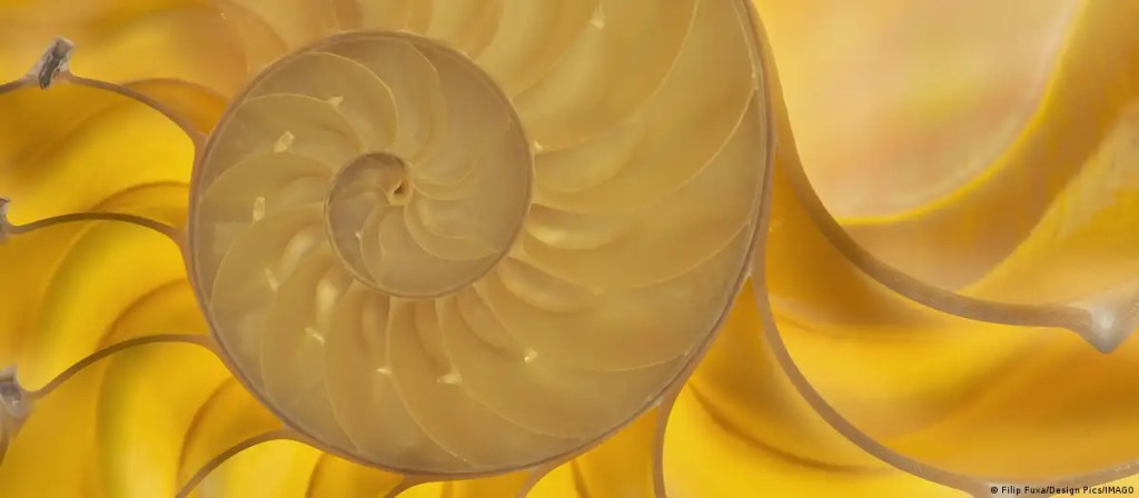Hallan ley perdida de la naturaleza que amplía la&nbsp;evolución