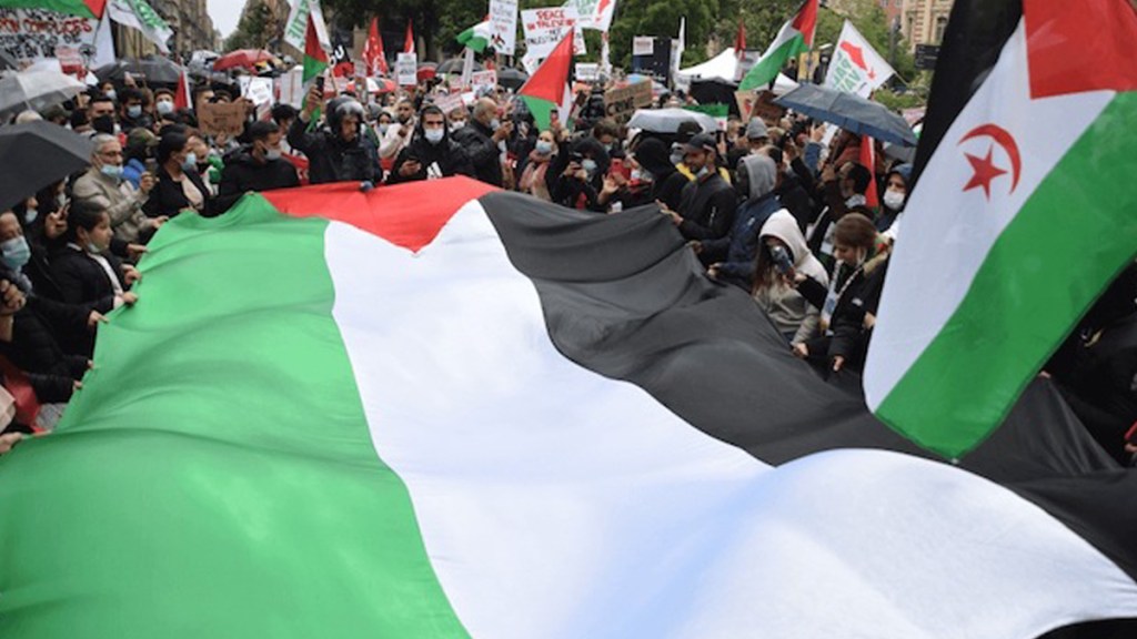 Solidaridad con Palestina, nuevos pasos en la dirección&nbsp;correcta