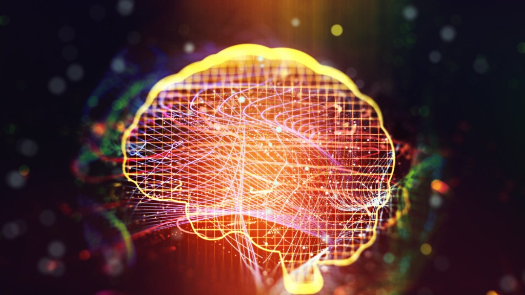 Contradicen la hipótesis de que el cerebro humano puede «reconectarse» luego de una&nbsp;lesión