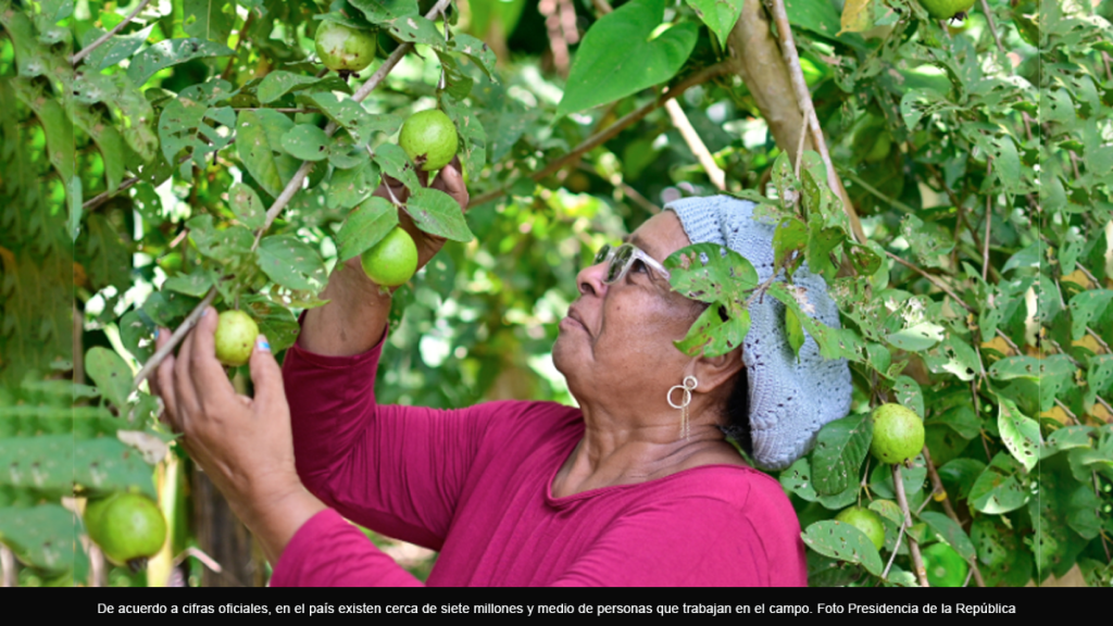 Sobre la identidad&nbsp;campesina