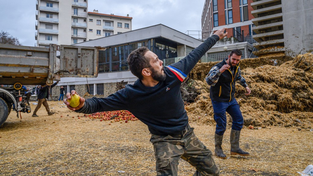 VIDEO: Agricultores franceses arrojan estiércol frente a un edificio&nbsp;administrativo