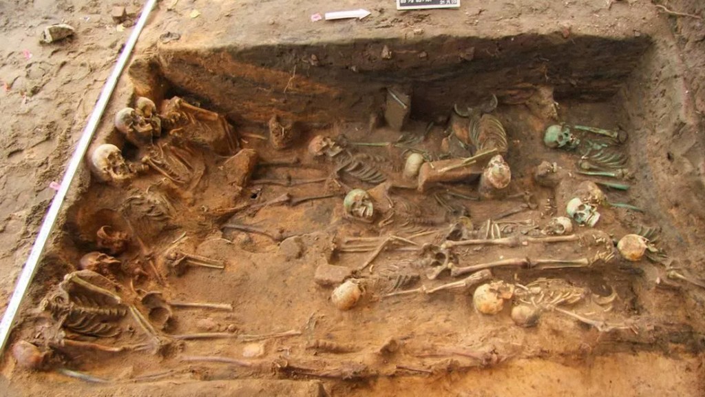Una gran fosa hallada en Alemania guarda un macabro&nbsp;secreto