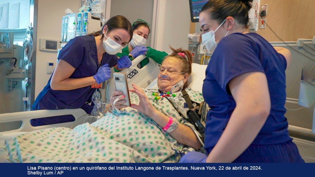 Médicos de EE.UU. realizan el segundo trasplante de riñón de cerdo en el&nbsp;mundo
