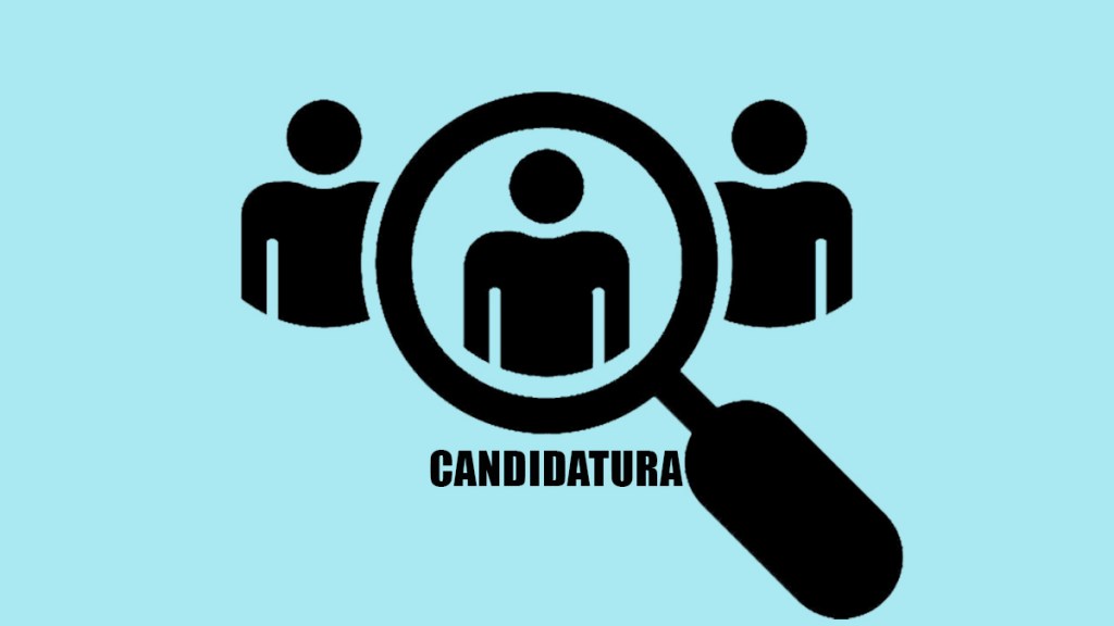 Los veinte puntos del&nbsp;candidato