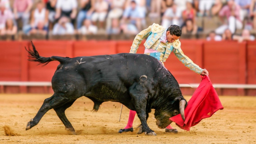 Decisión histórica: Colombia aprueba la prohibición de las corridas de&nbsp;toros