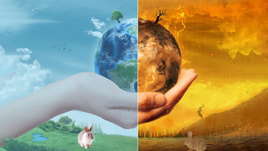 De incendios, tráfico de vida silvestre y crisis&nbsp;climática
