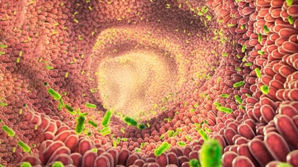 Cómo recuperar la flora&nbsp;intestinal