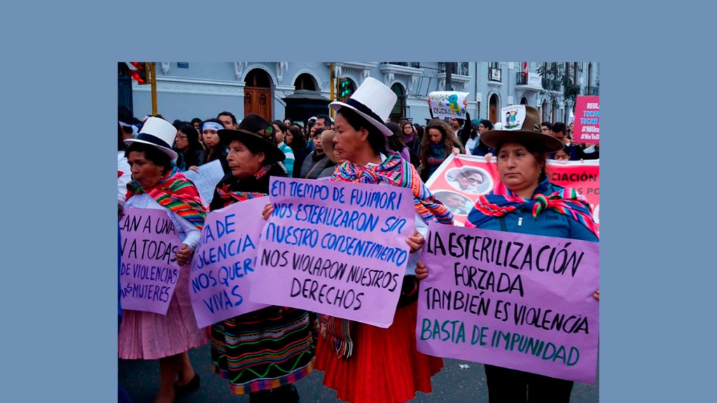 Las esterilizaciones forzadas son crímenes de lesa humanidad: Yudith&nbsp;Conto