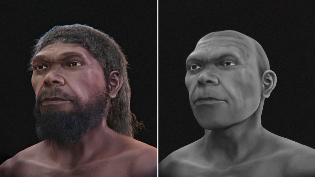 Recrean el rostro del ‘primer humano’, que vivió hace 300.000&nbsp;años