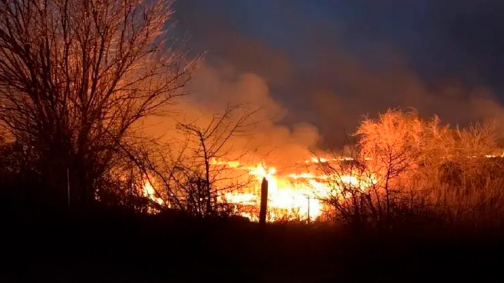 Declaran estado de desastre por incendios forestales en Córdoba,&nbsp;Argentina