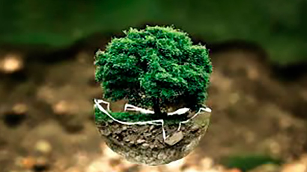 En los orígenes de la crisis&nbsp;ecológica
