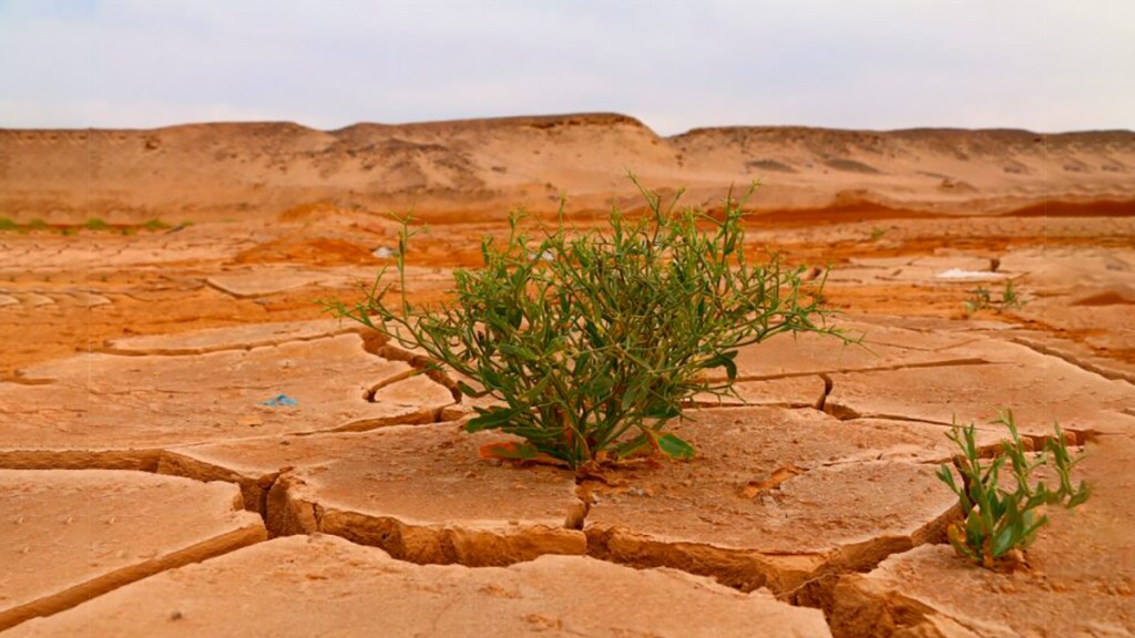 Impacto del clima extremo: un estudio advierte cambios drásticos en los próximos 20&nbsp;años