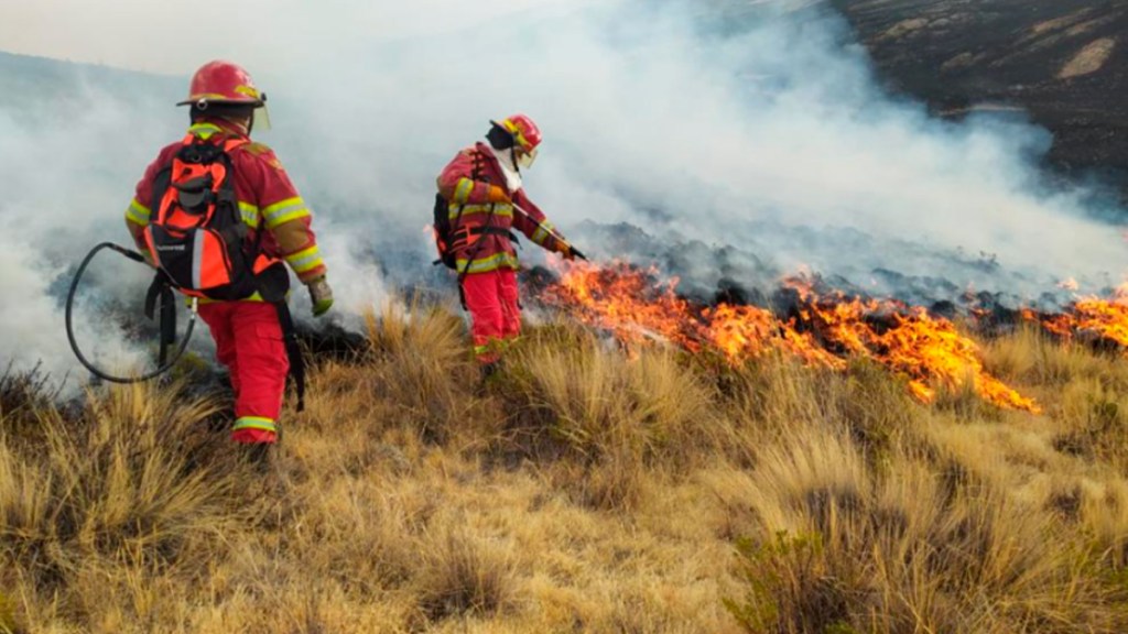 Perú vive emergencia por incendios&nbsp;forestales