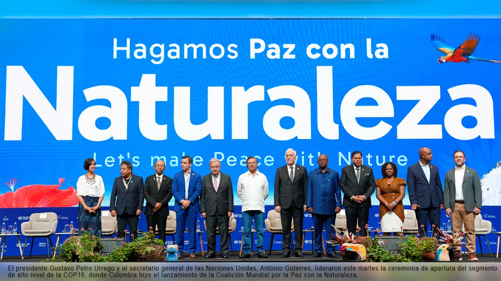 Cali, Colombia, 29 de octubre de&nbsp;2024