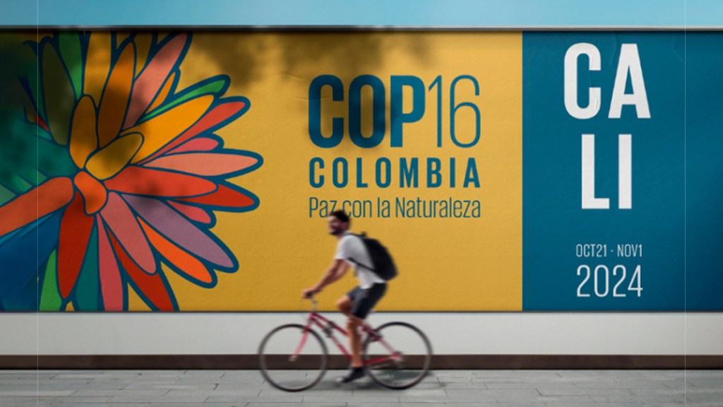 COP16: nos interesa generar una reserva de&nbsp;biósfera