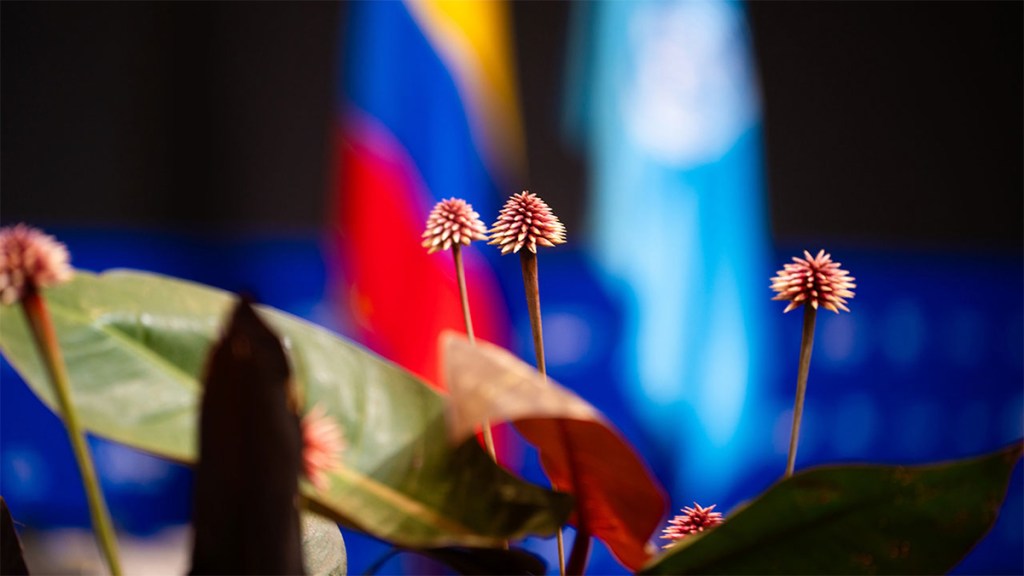 Presidente Petro lidera la ceremonia de apertura de la COP16 en&nbsp;Cali
