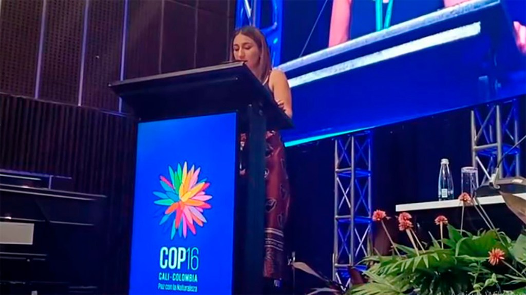 En la COP16, Colombia lidera el compromiso empresarial privado para promover la restauración de la&nbsp;naturaleza