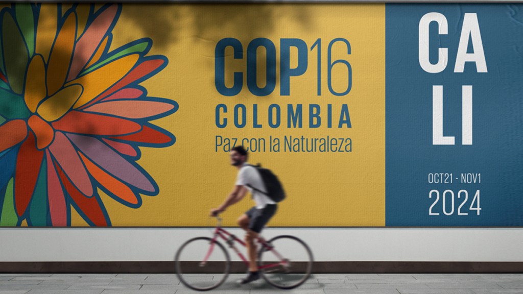 Colombia a la altura de la COP&nbsp;16