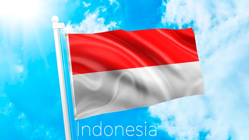 Indonesia expresa su deseo de unirse a los&nbsp;BRICS