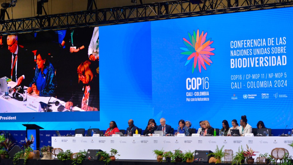 Colombia anuncia la emisión del primer bono para financiar la recuperación de la&nbsp;naturaleza