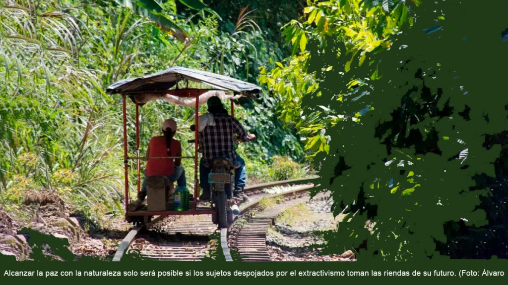 Una salida campesina a la crisis&nbsp;ambiental