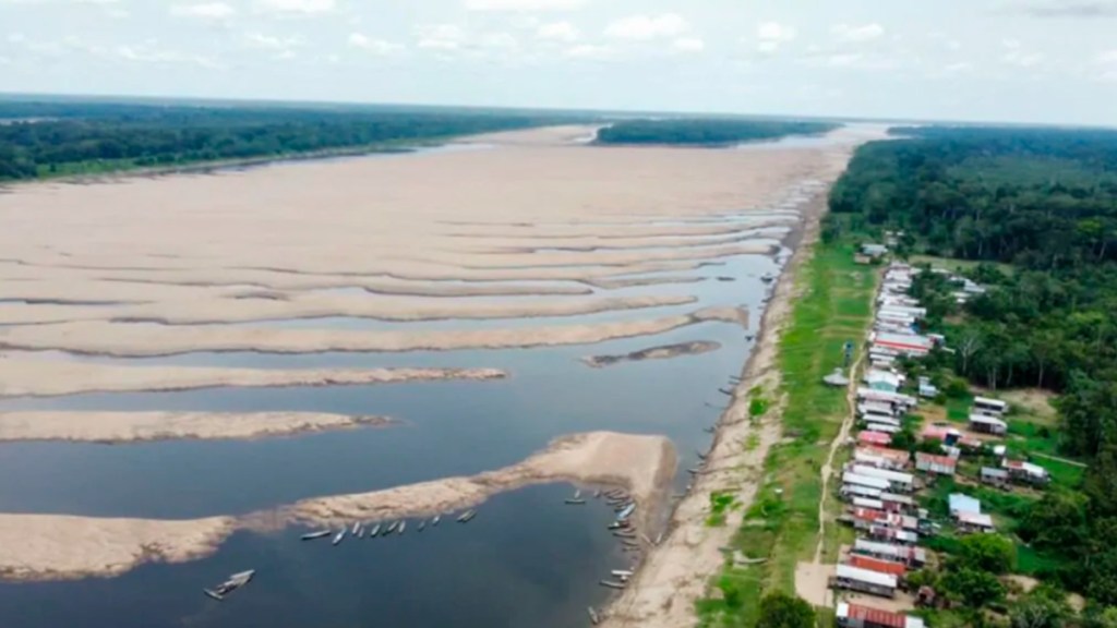 COP16 de Cali, Colombia, la cumbre del&nbsp;Armagedón