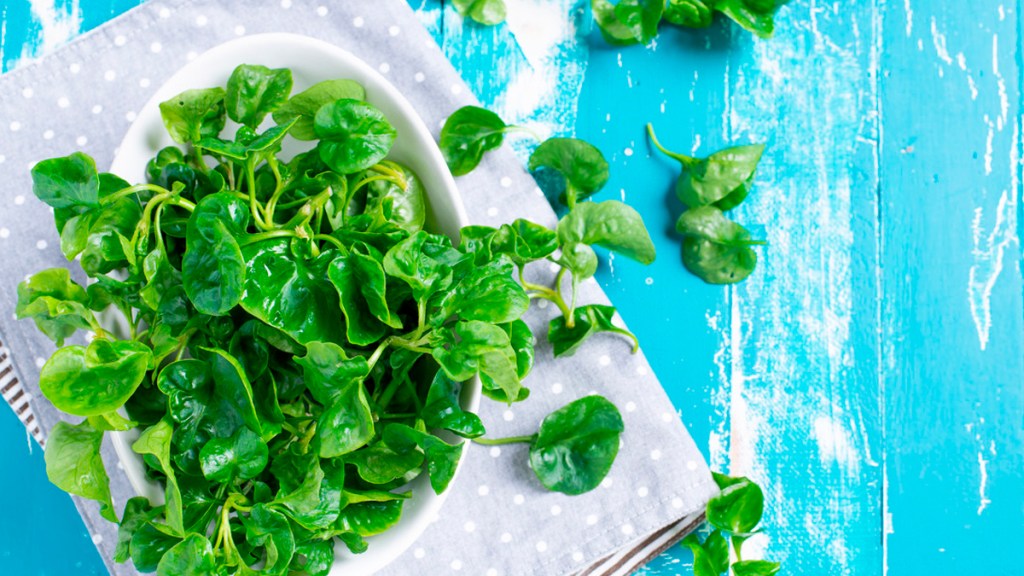 Esta es la verdura más saludable, que ayuda a todo el organismo y puede proteger del&nbsp;cáncer