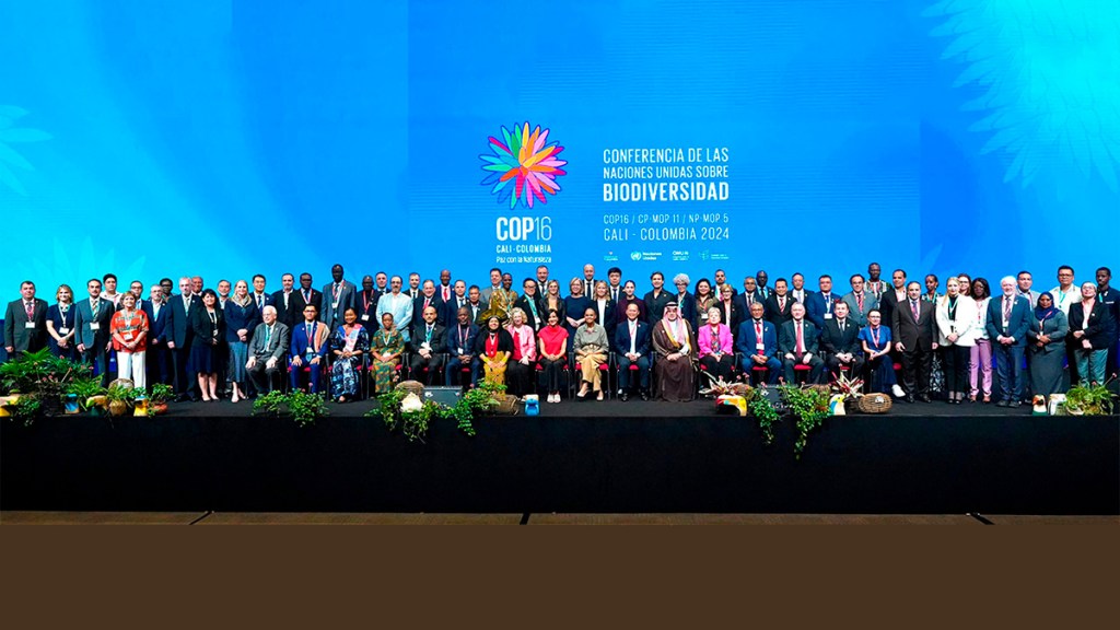 Balance COP16 / Lo más destacado de la cumbre que mostró por qué Colombia es potencia mundial de la&nbsp;vida