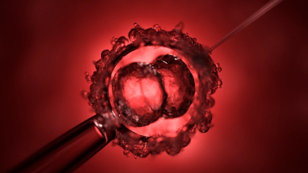 Genética a la carta: la nueva frontera de la fecundación ‘in vitro’ suscita&nbsp;controversia
