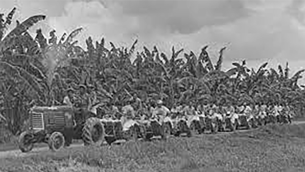 Prohibido olvidar la masacre de las&nbsp;bananeras