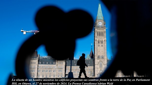 Canadá. Ottawa ha gastado 6,4 millones de dólares en el desarrollo de una identificación digital nacional&nbsp;«opcional»