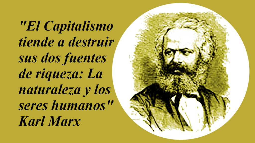 La trama criminal del capitalismo&nbsp;salvaje