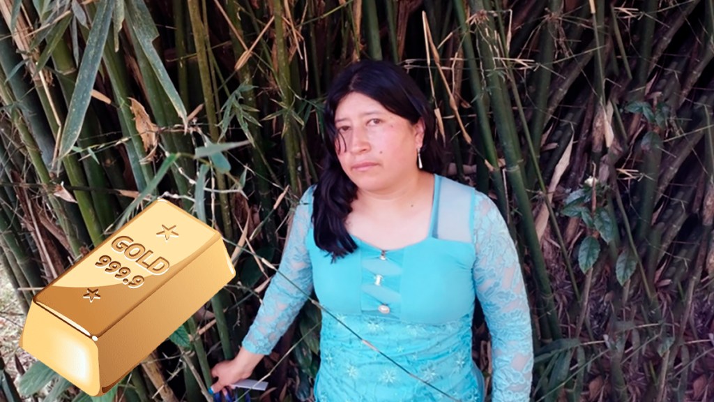 «El oro es un metal inútil que se usa para hacer el juego al&nbsp;sistema»