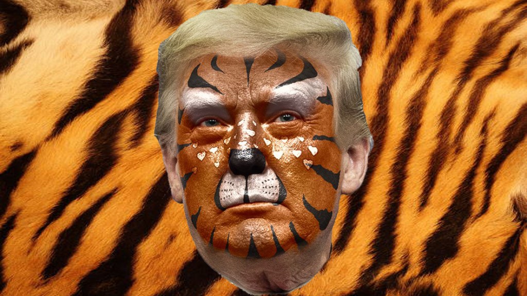 ¿Es Donald Trump un tigre de papel? Y Nayib Bukele, el «coyote»&nbsp;mayor.