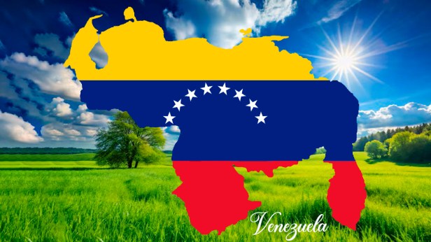 Ratas y plátanos: los medios occidentales, la violencia y la libertad en&nbsp;Venezuela